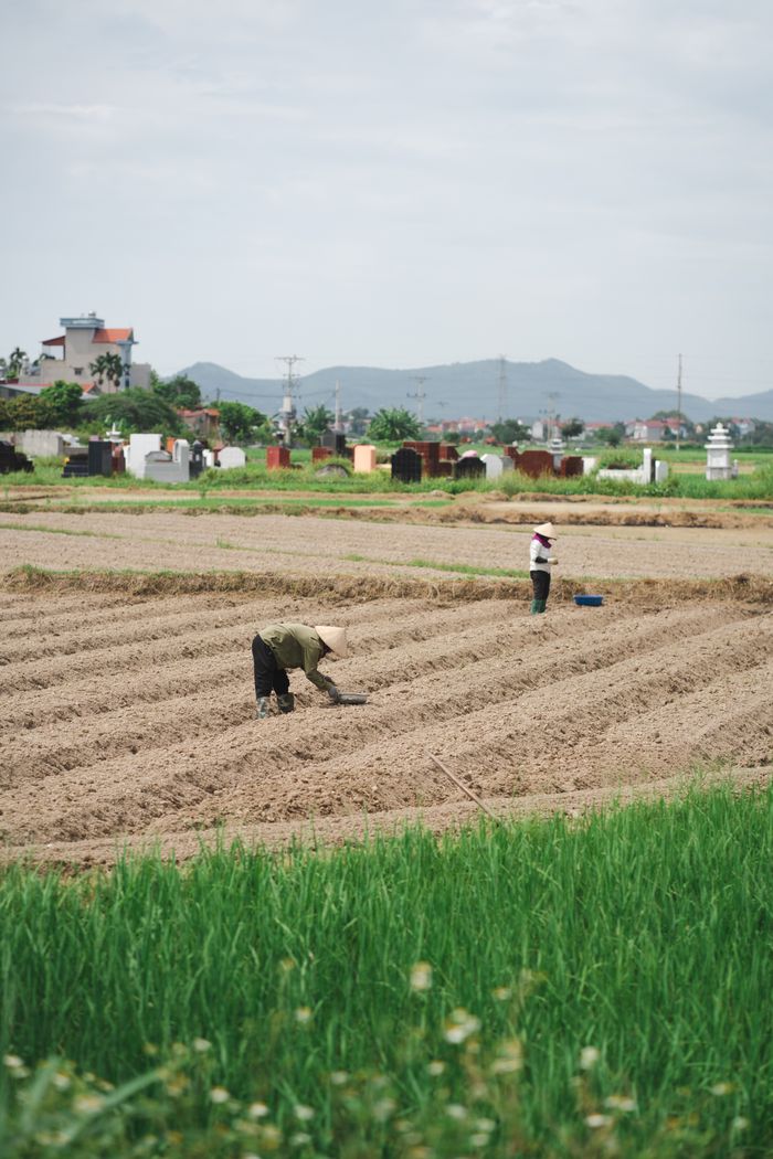 Two farmers working in a plowed field surrounded by countryside scenery, depicting rural agriculture.