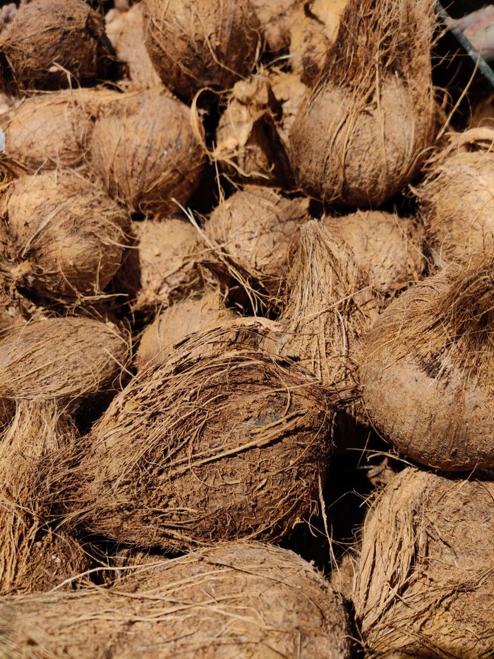 Close-up of brown coconut husks showcasing texture and natural patterns.