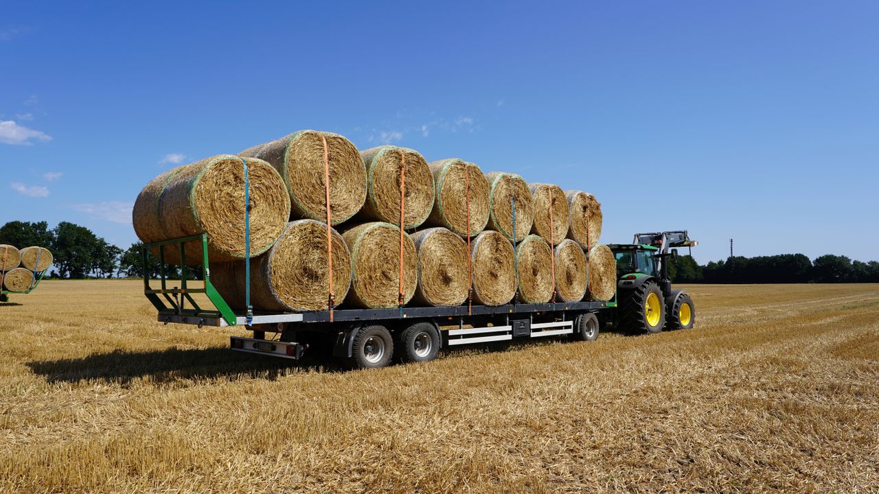 Tractor hauling straw bales on trailer in farmland, Hohenhorn, Germany.